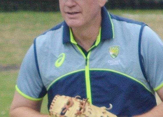 Cricket (representative image)