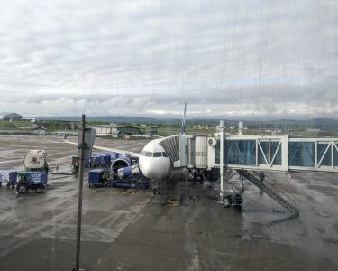 Srinagar Airport