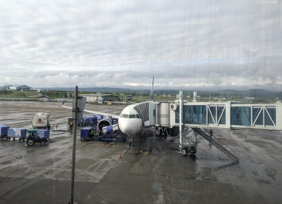 Srinagar Airport
