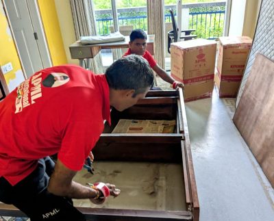 When the Office Has to Move Without Missing a Day: Agarwal Packers and Cargo L.L.C on Corporate Relocation