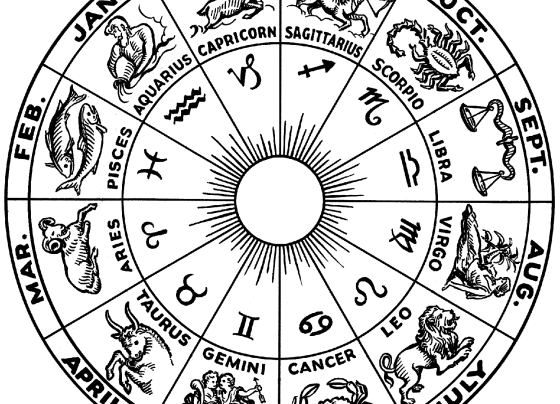Zodiac wheel (representative image)