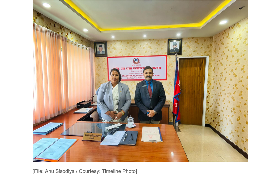 Emergency Relief and Economic Restoration: A Humanitarian Vision Beyond Borders