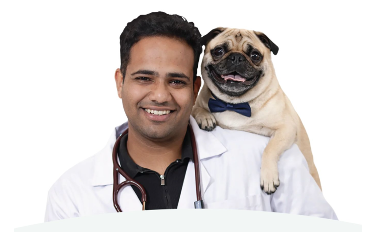 India’s Pet Parents Are Loving Their Dogs and Cats More Than Ever — and Feeding Them Worse, Says Vet-Founder Dr. Anshul Rawal