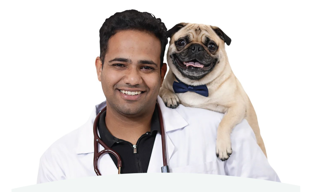 India’s Pet Parents Are Loving Their Dogs and Cats More Than Ever — and Feeding Them Worse, Says Vet-Founder Dr. Anshul Rawal