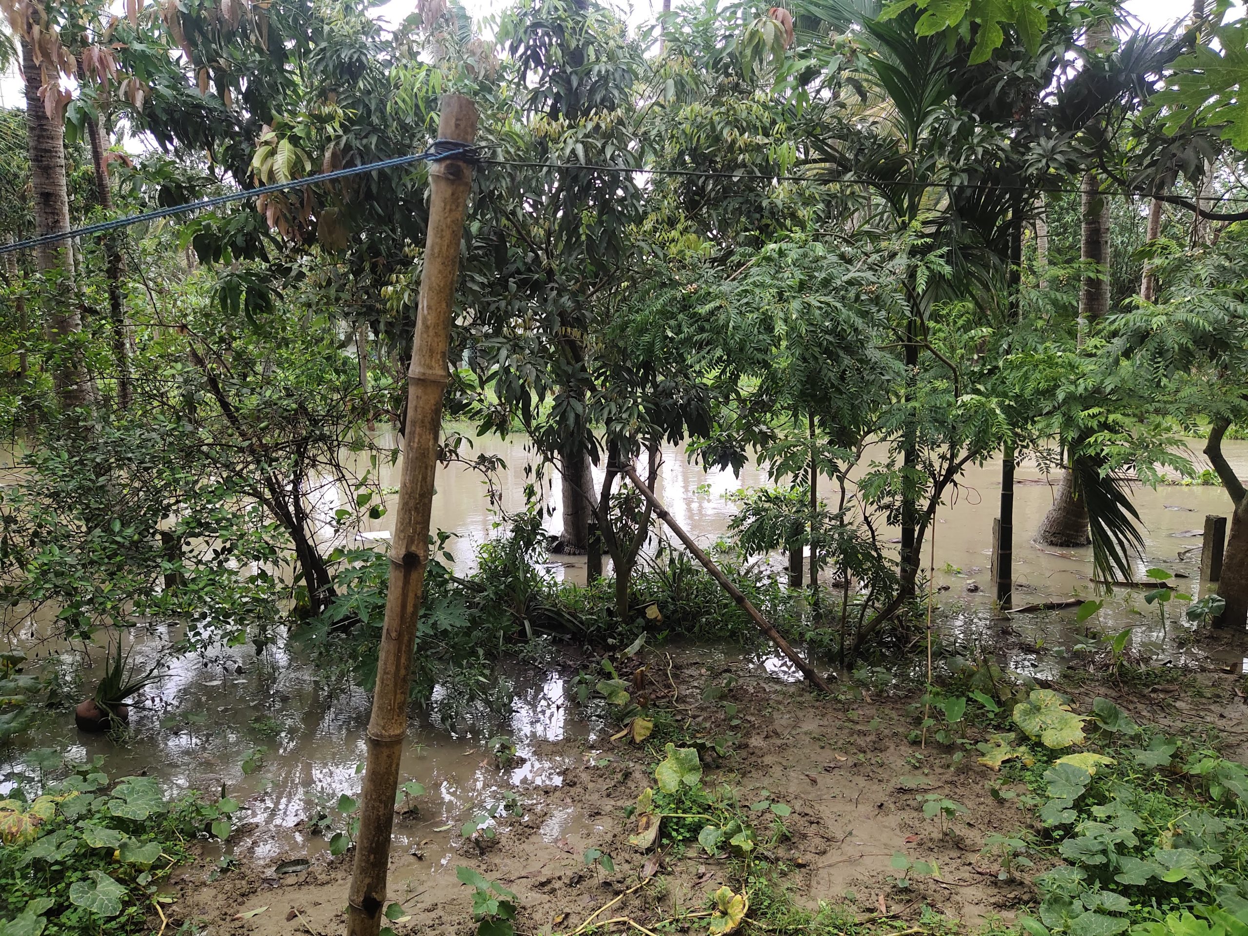 Heavy rain, flash flood alerts issued for large parts of India