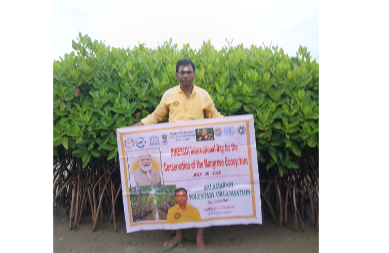 Mangrove Ecosystems: Nature’s Living Shield Against Climate Change and Coastal Disasters