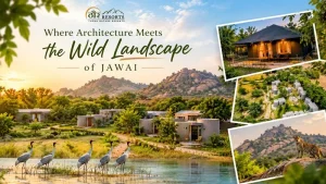 Where Architecture Meets the Wild Landscape of Jawai