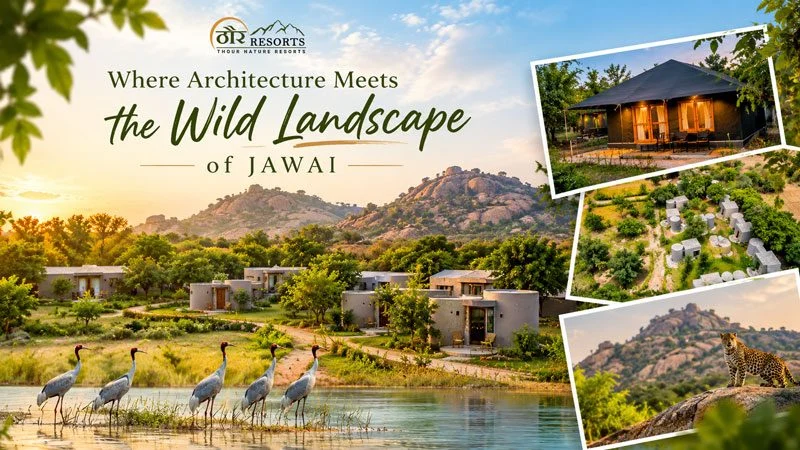 Where Architecture Meets the Wild Landscape of Jawai