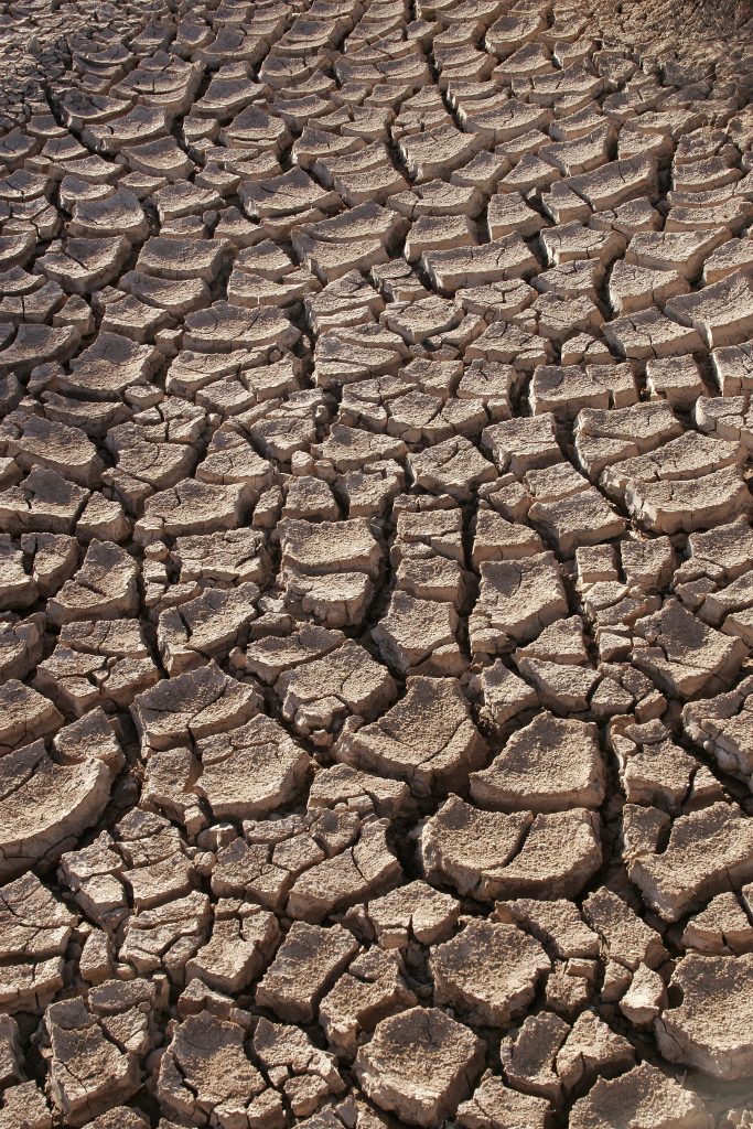 Who is on the central drought team that met Karnataka’s CM?