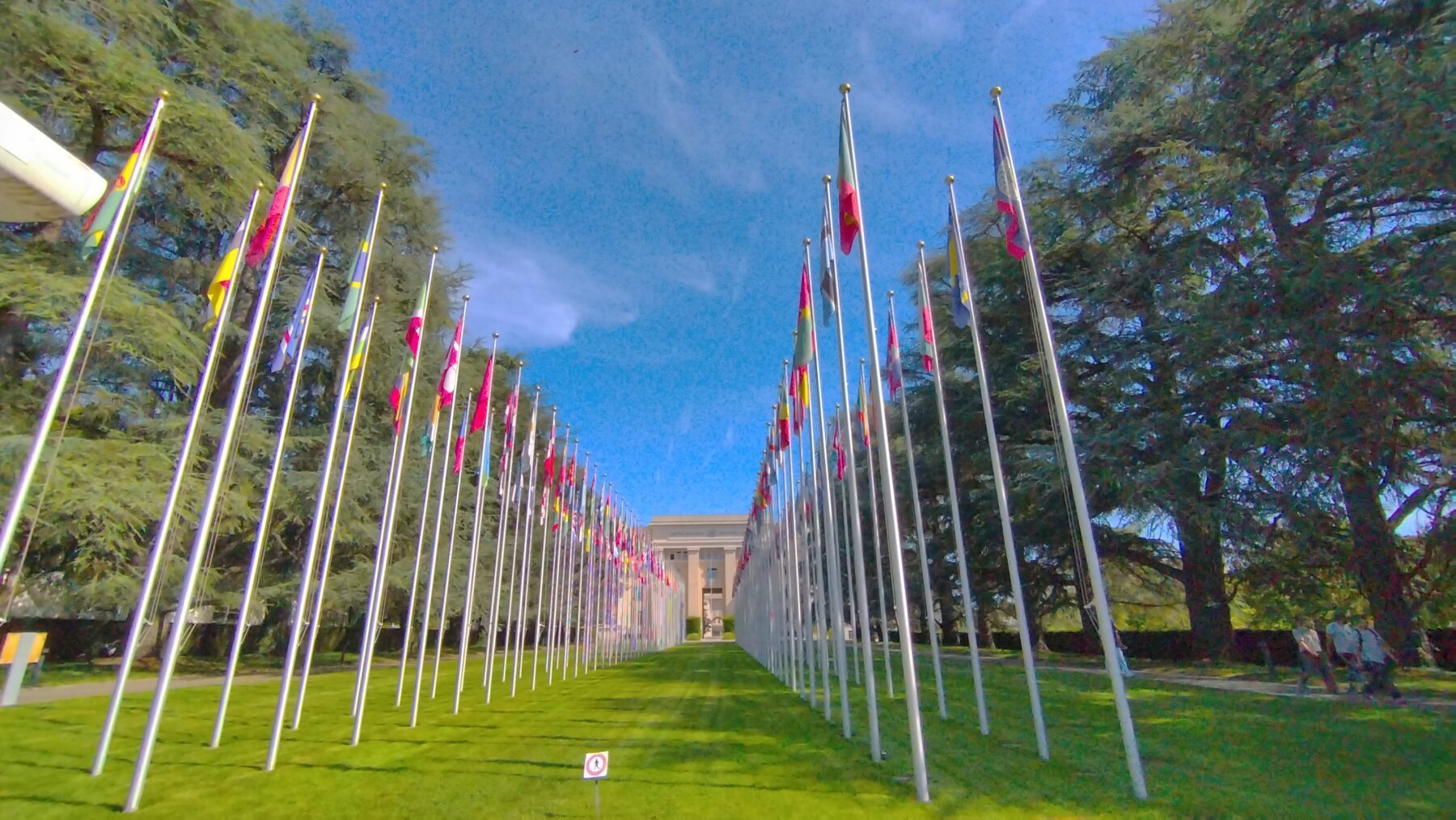 Who is Thameen Al-Kheetan? The UN spokesperson who raised concern on Delhi detentions